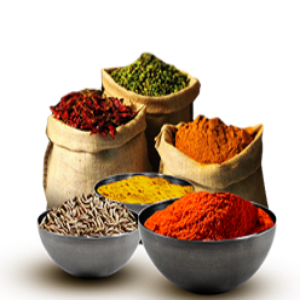 توضیحات عکس