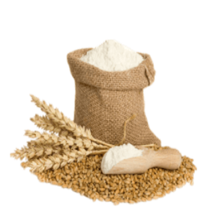 توضیحات عکس