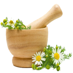 انواع گیاهان دارویی